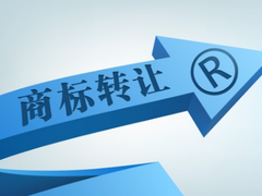 知识产权服务 企业创新发展的护航者